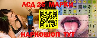 спиды Кимры