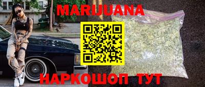 стаф Кингисепп