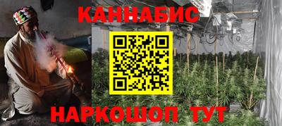 стаф Кингисепп