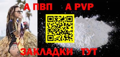 стаф Кингисепп