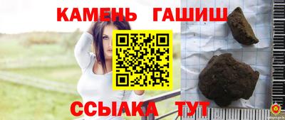 стаф Кингисепп