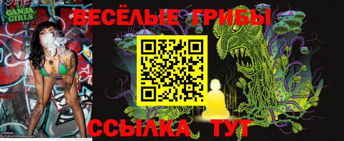 Галлюциногенные грибы MAGIC MUSHROOMS Ипатово
