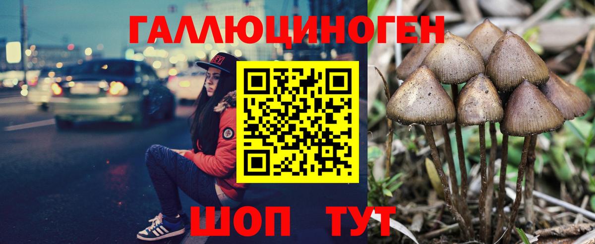Ипатово  Галлюциногенные грибы мицелий  Галлюциногенные грибы Cubensis  Вход с VPN 